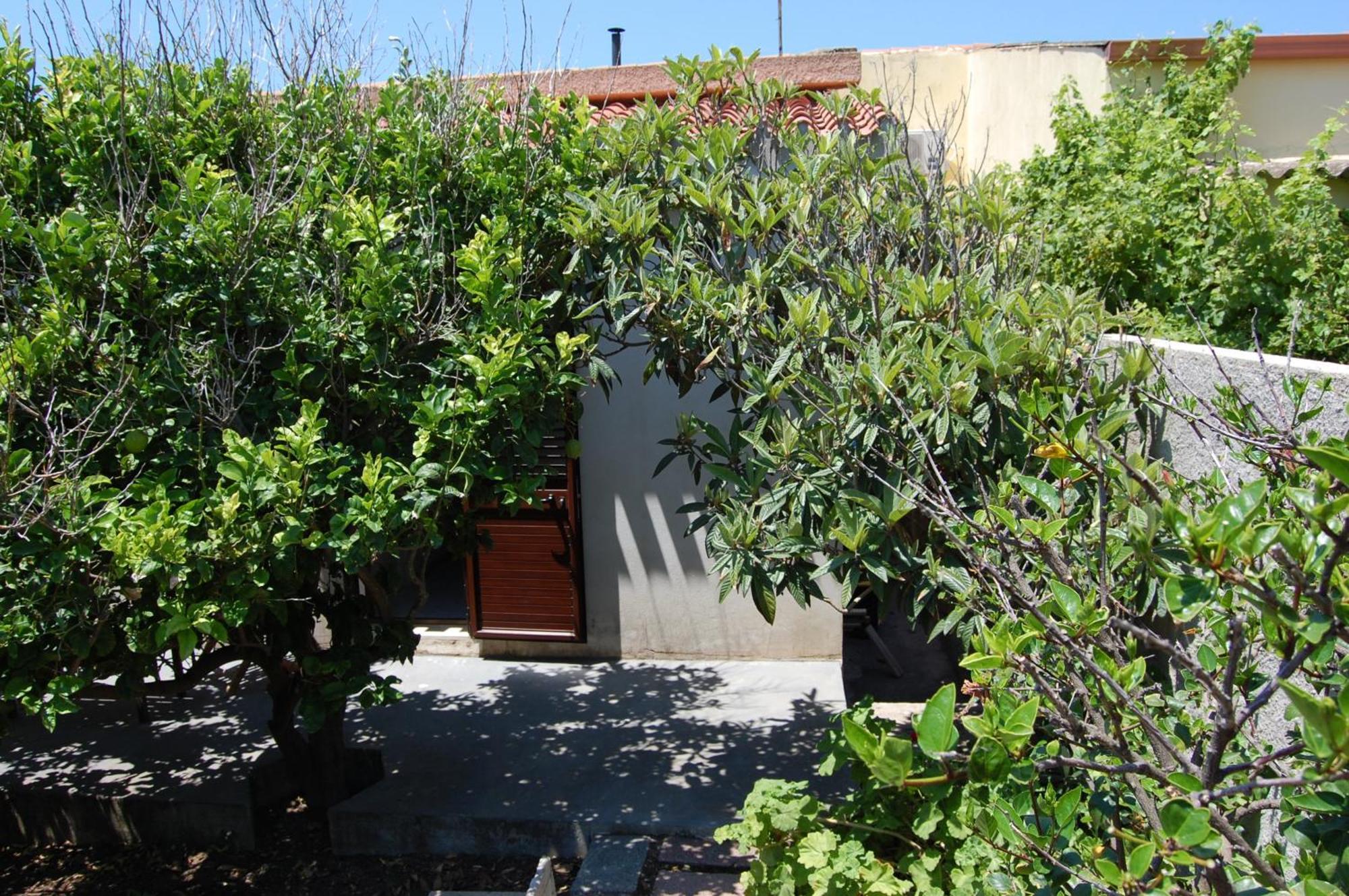 Andrea E Valentina Bed & Breakfast S'Archittu Dış mekan fotoğraf